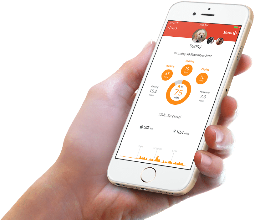 ACTUEEL Virbac introduceert PitPat!